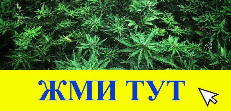 Купить наркотики в Малой Вишере